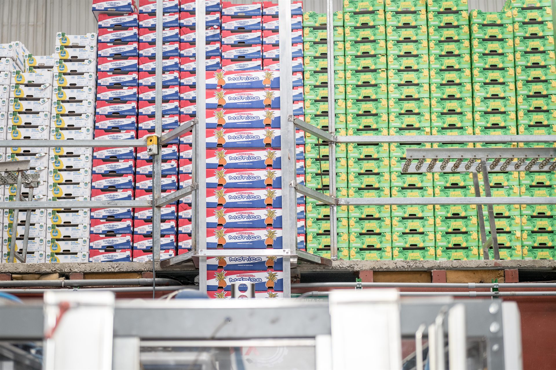 Cajas de piña para exportación