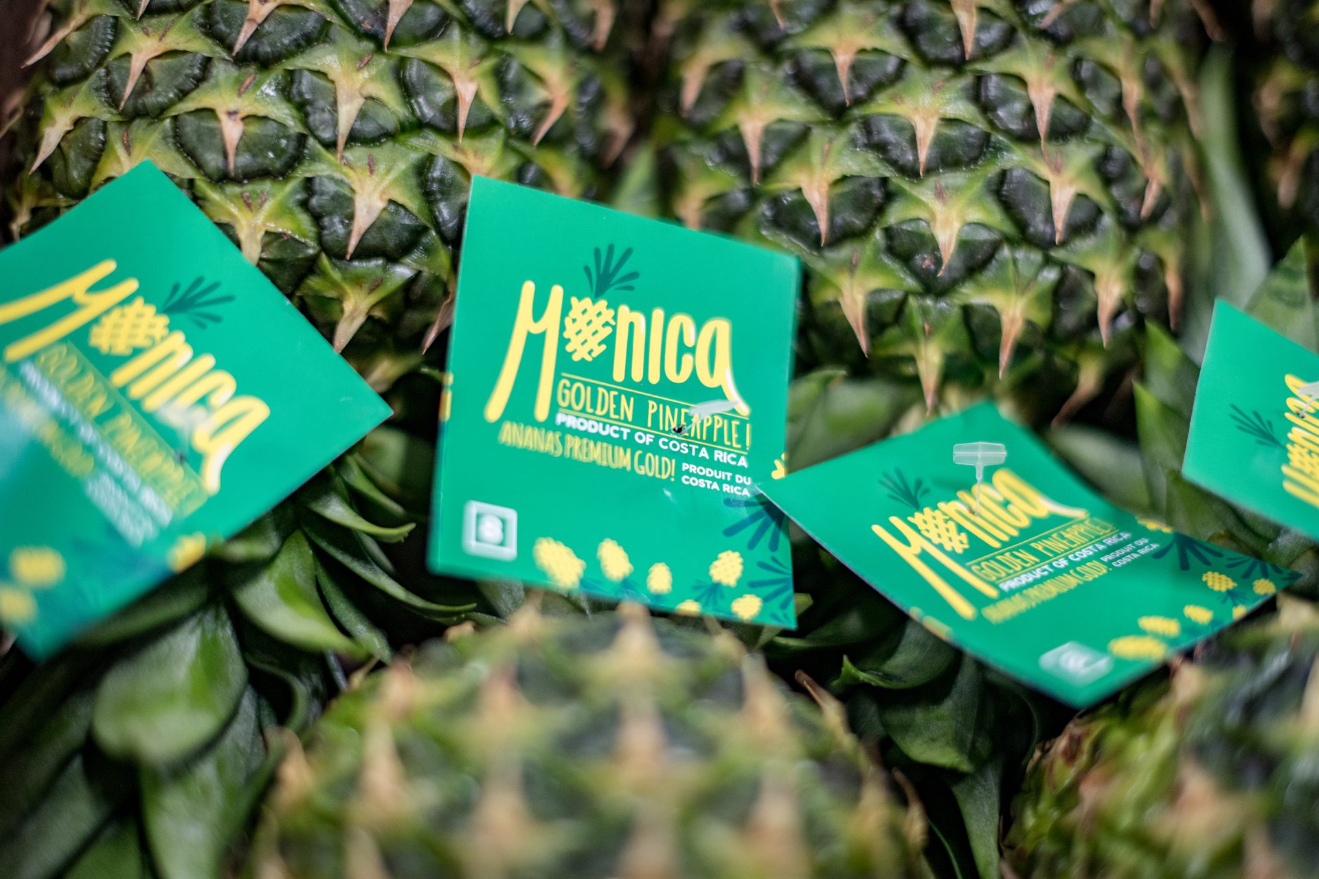 Etiqueta Mónica Green sobre piña fresca